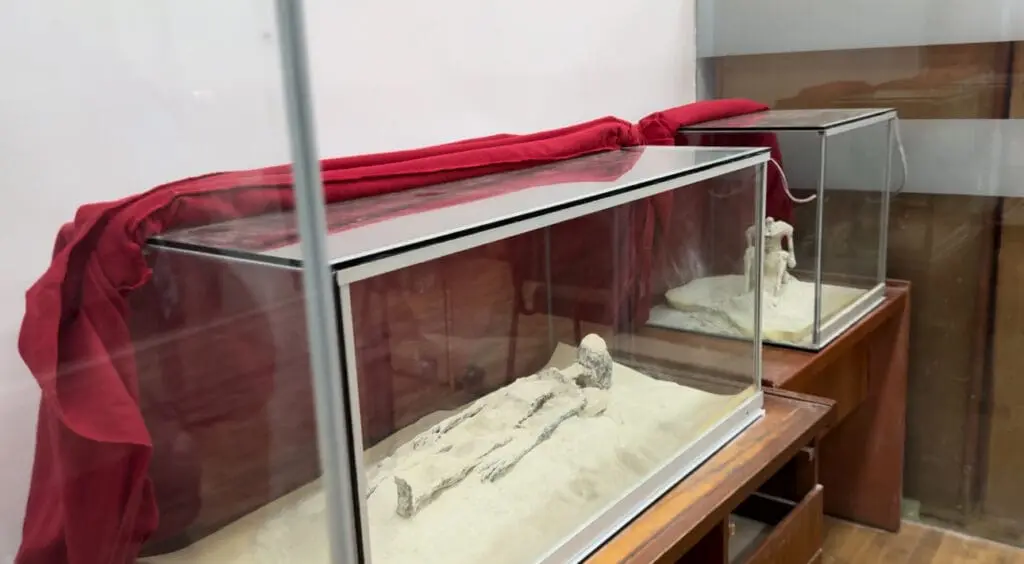 IMG_6156 - McDowell Law Firm