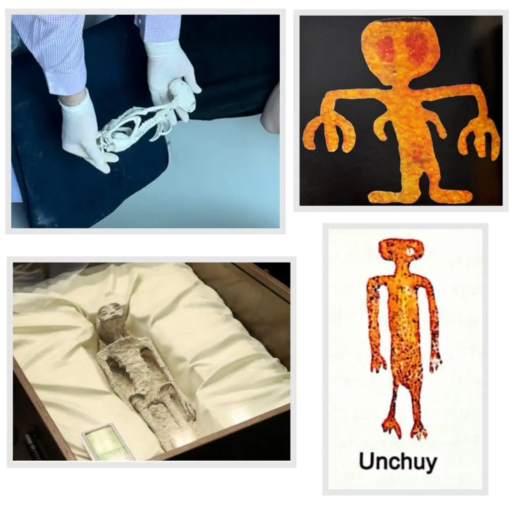 IMG_7622 - McDowell Law Firm