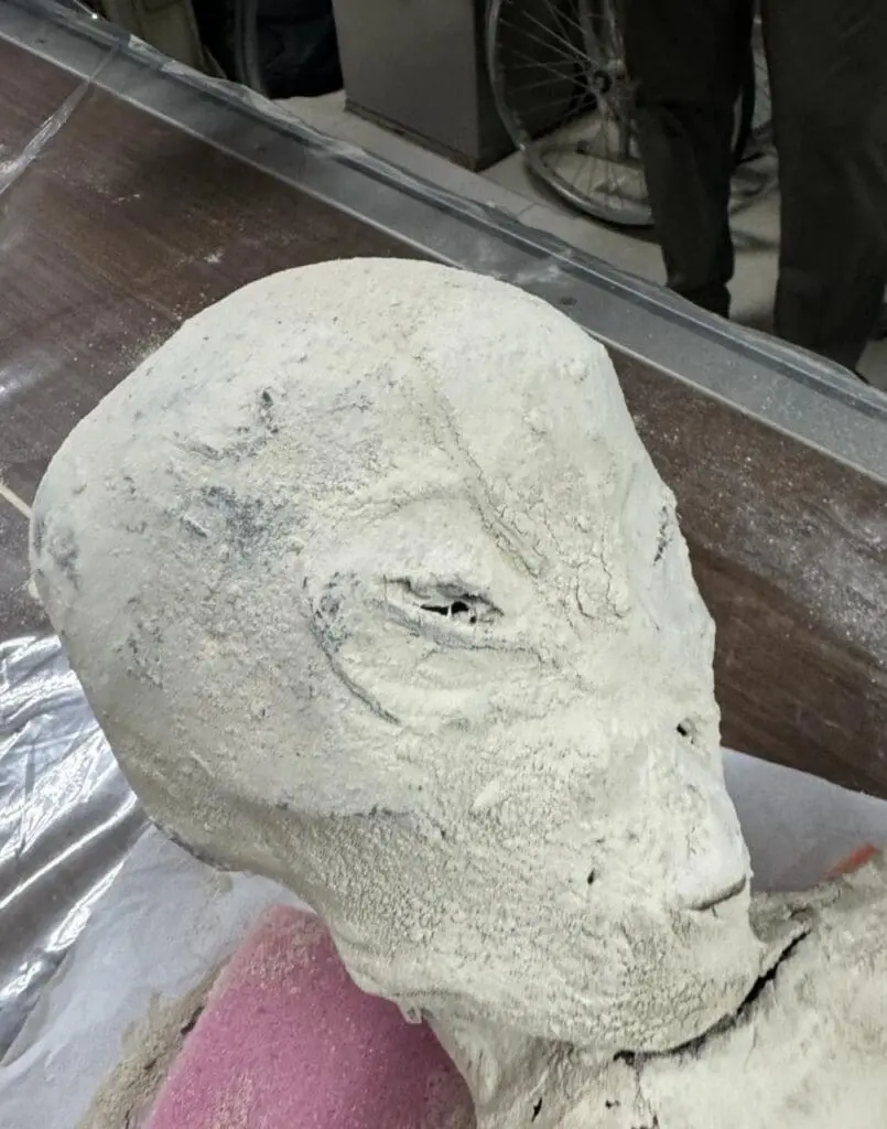 IMG_6123 - McDowell Law Firm Mummy Sebastian. This is not the giant mummy head.