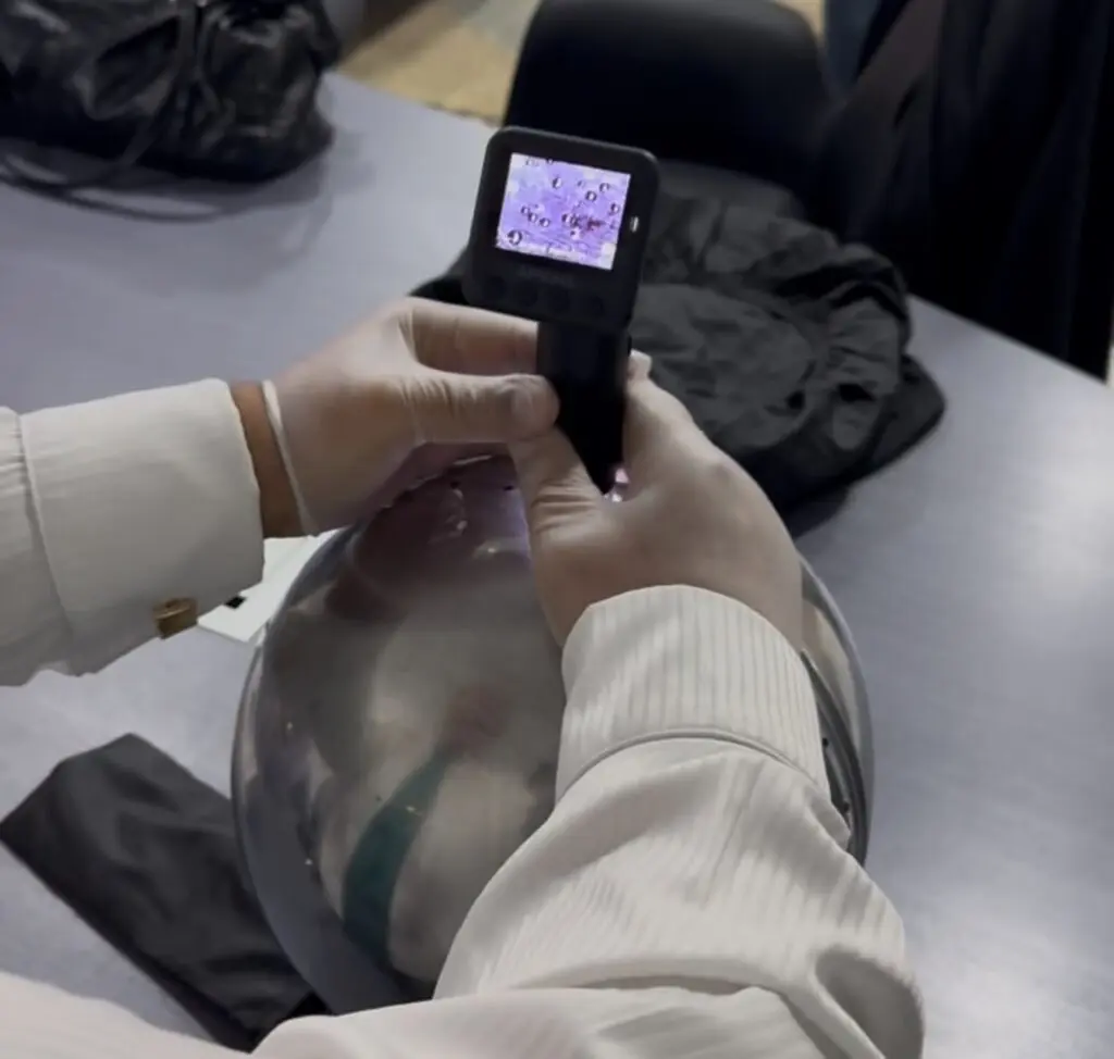 IMG_0203 - McDowell Law Firm