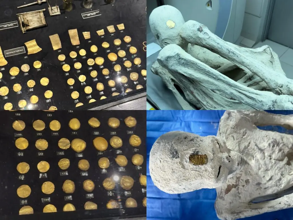 Gold coins - McDowell Law Firm