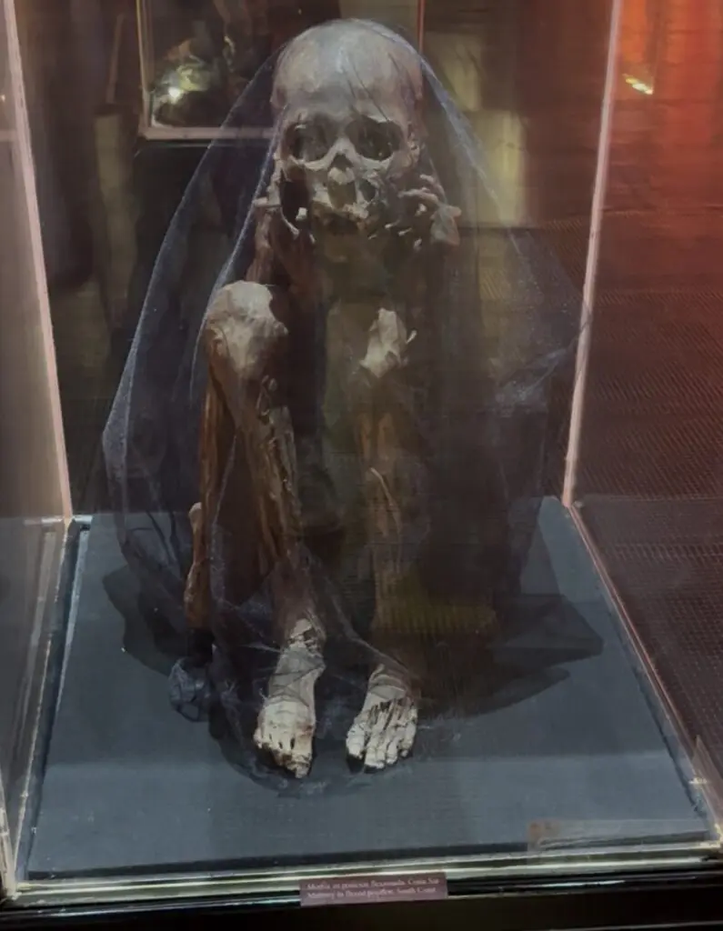 Screenshot - McDowell Law Firm